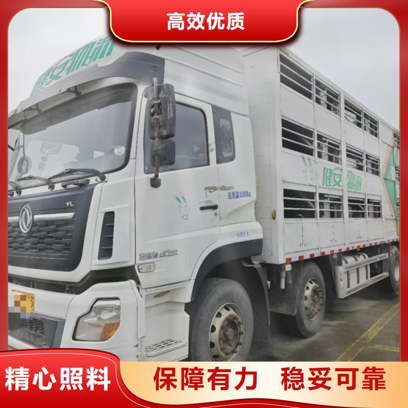 宿遷市沭陽到仔豬運輸及時送達