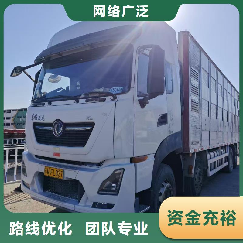 宿遷市泗陽(yáng)到牛運(yùn)輸專用車溫柔對(duì)待