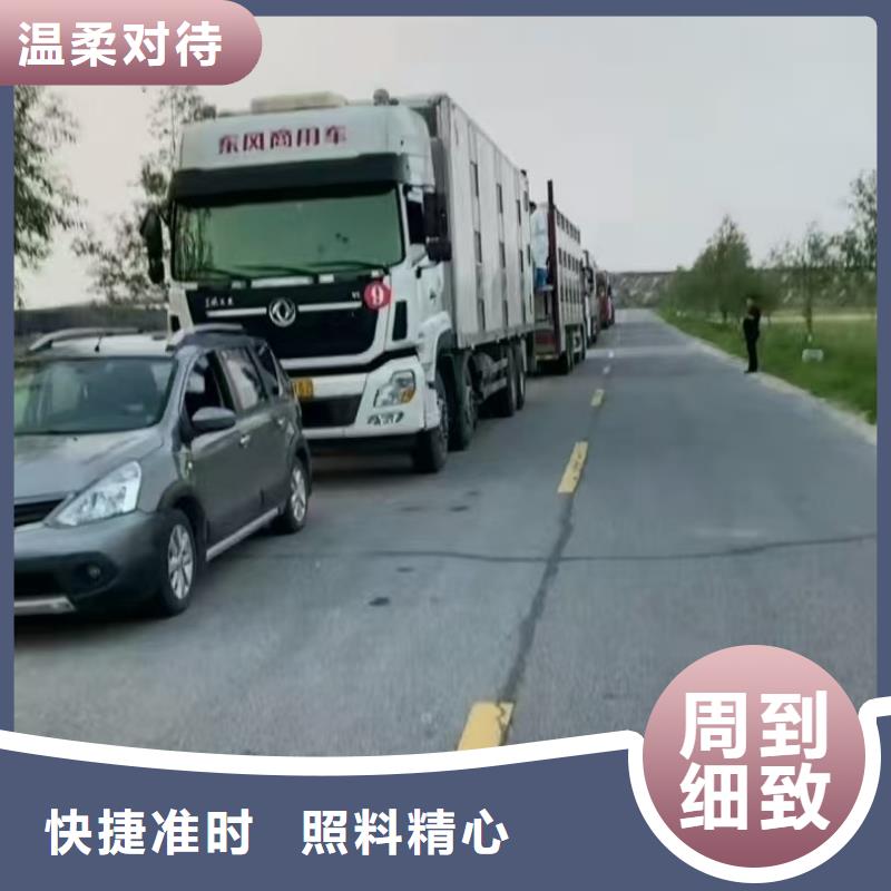 宿遷市到豬只貿(mào)易創(chuàng)新進(jìn)取
