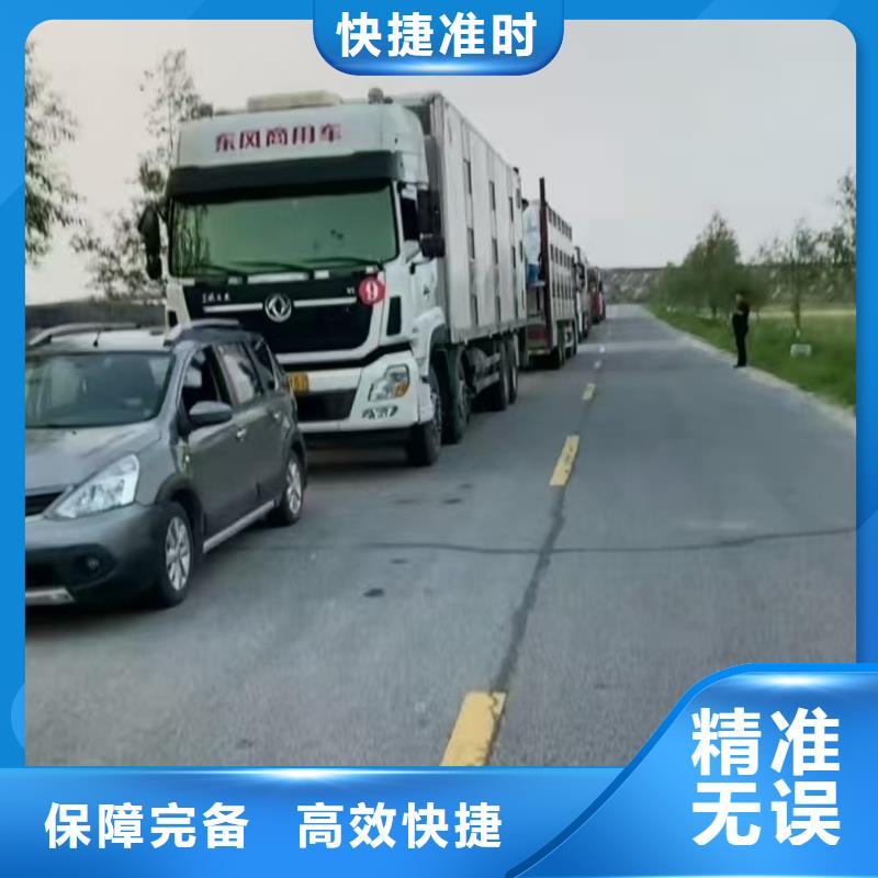 宿遷沭陽到畜禽運輸