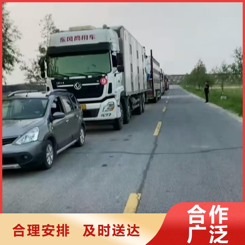 宿遷市泗洪到羊運(yùn)輸專用車(chē)優(yōu)質(zhì)