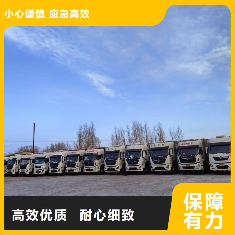 宿遷市泗洪到種豬空調(diào)車運輸細致入微