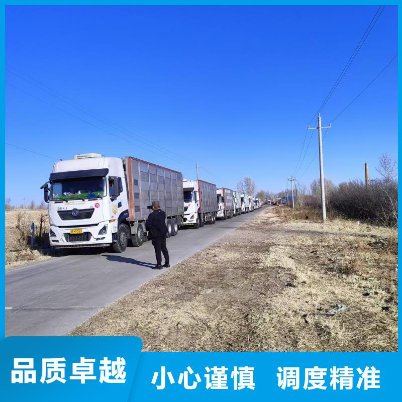 宿遷到仔豬恒溫車運(yùn)輸全程高速