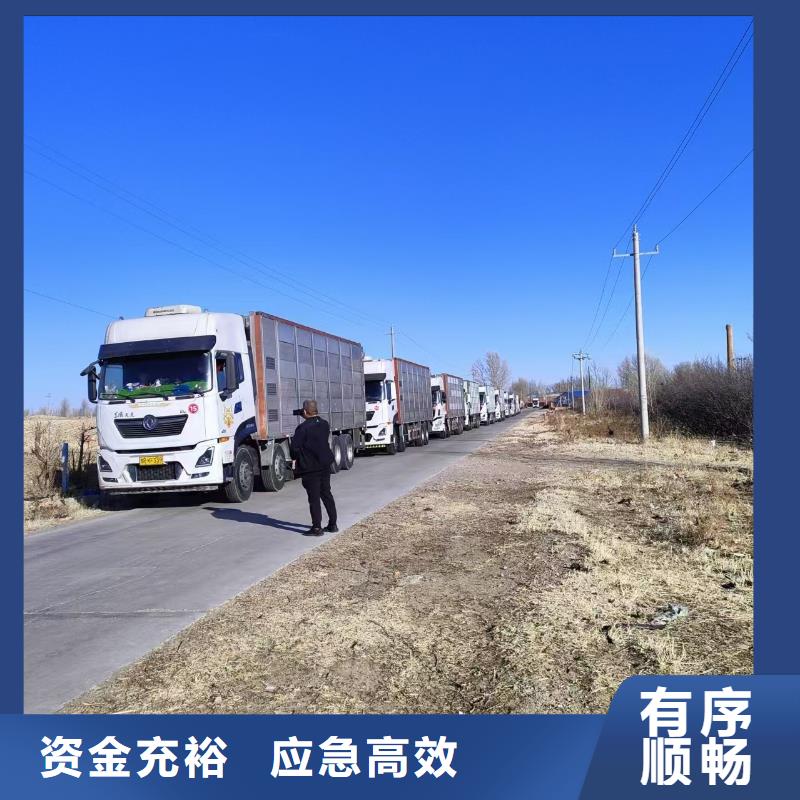 宿遷到活禽物流誠信平價(jià)