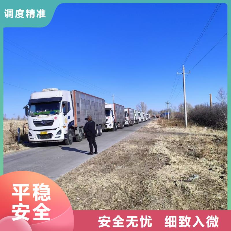 宿遷到畜禽運輸管理規(guī)范