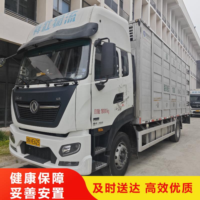 宿遷到種豬恒溫車運(yùn)輸設(shè)備精良