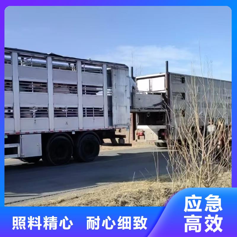 宿遷市到農(nóng)牧物流細(xì)致入微