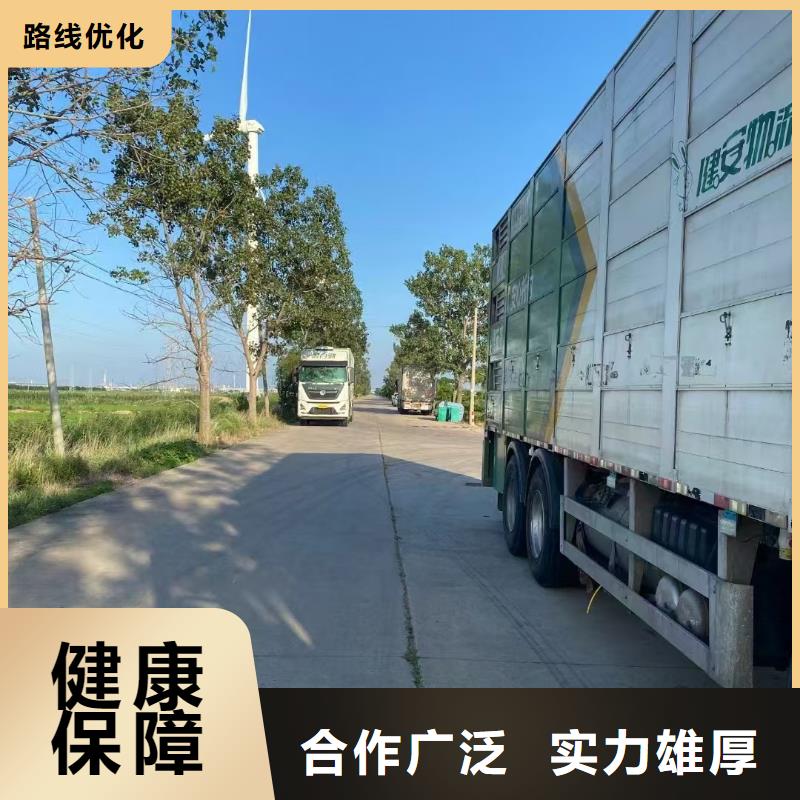宿遷泗洪到豬籠車運輸