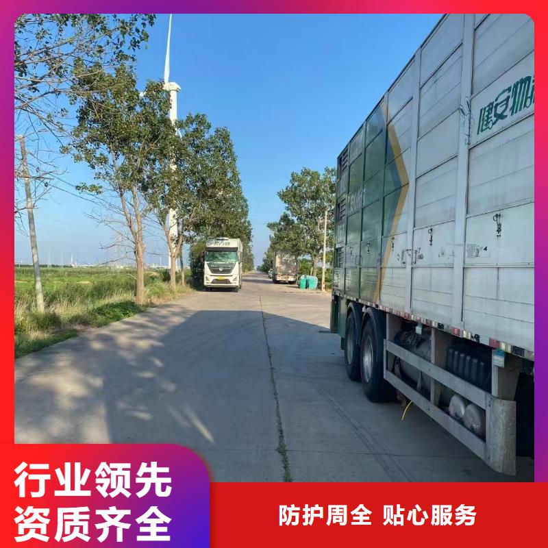宿遷到牛運輸方便快捷