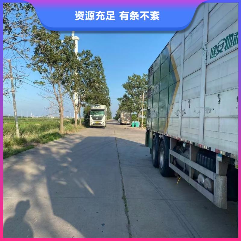 宿遷市沭陽到二育運(yùn)輸規(guī)模宏大