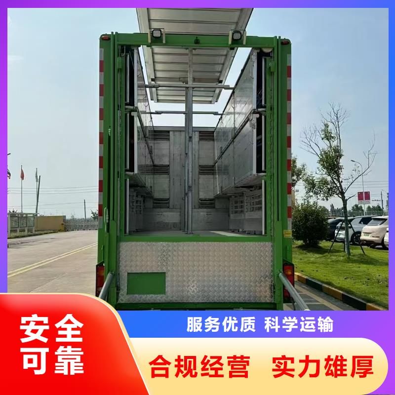 宿遷市沭陽到仔豬運輸及時送達