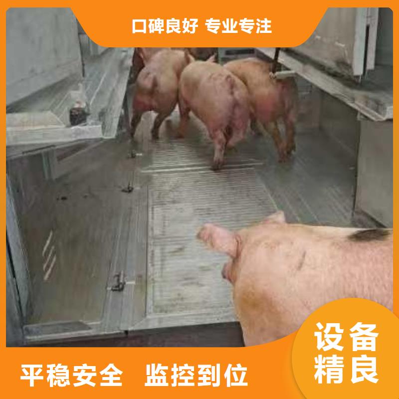 宿遷市到生豬空調(diào)車運(yùn)輸品質(zhì)卓越