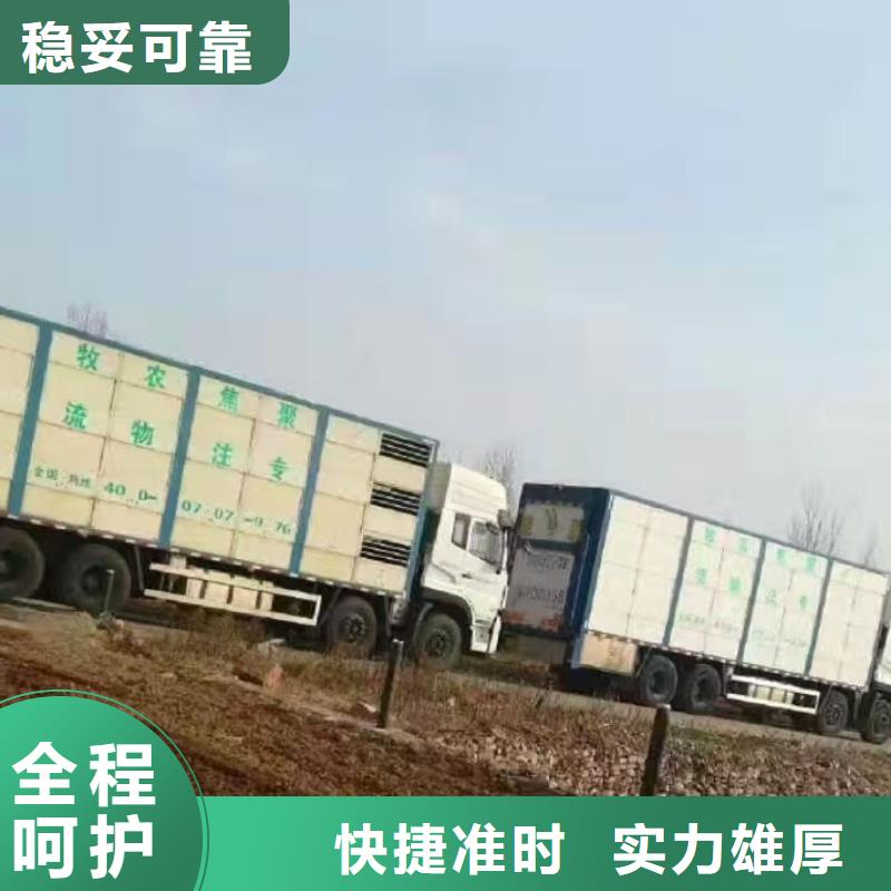 宿遷市沭陽到羊運(yùn)輸穩(wěn)妥可靠