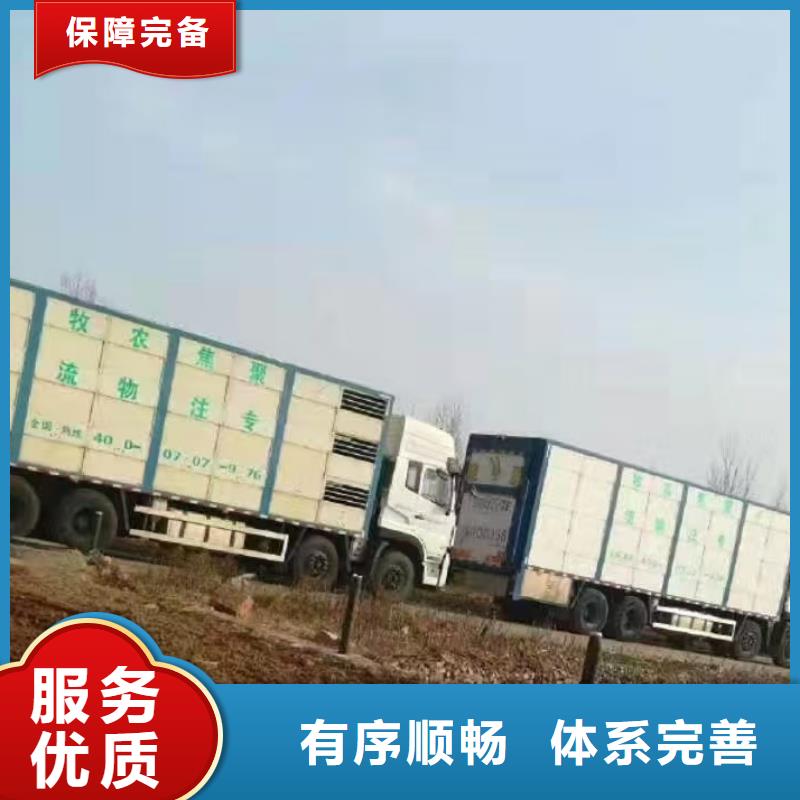 宿遷到種豬運(yùn)輸不倒車