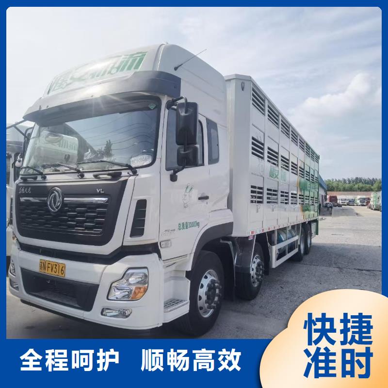宿遷市泗洪到羊運輸專用車優(yōu)質