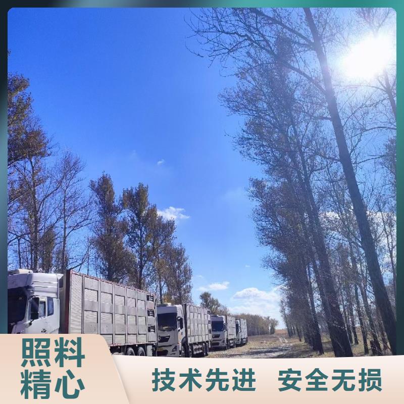 宿遷到生豬空調(diào)車運(yùn)輸便利快捷