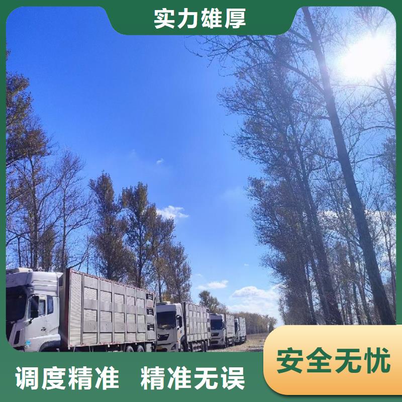 宿遷到牛運輸專用車行業(yè)領(lǐng)先