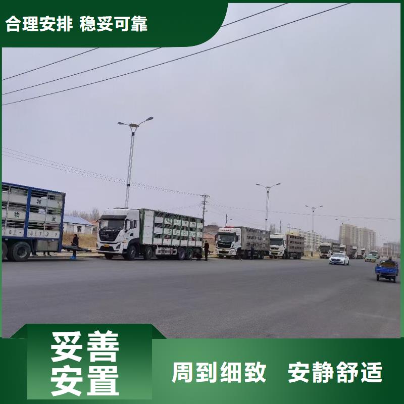 宿遷市到豬只貿(mào)易舒適自在