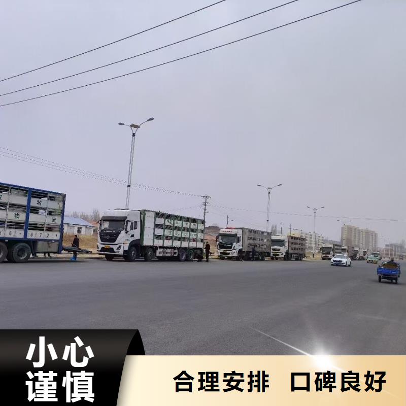 宿遷到豬籠車運(yùn)輸全程高速