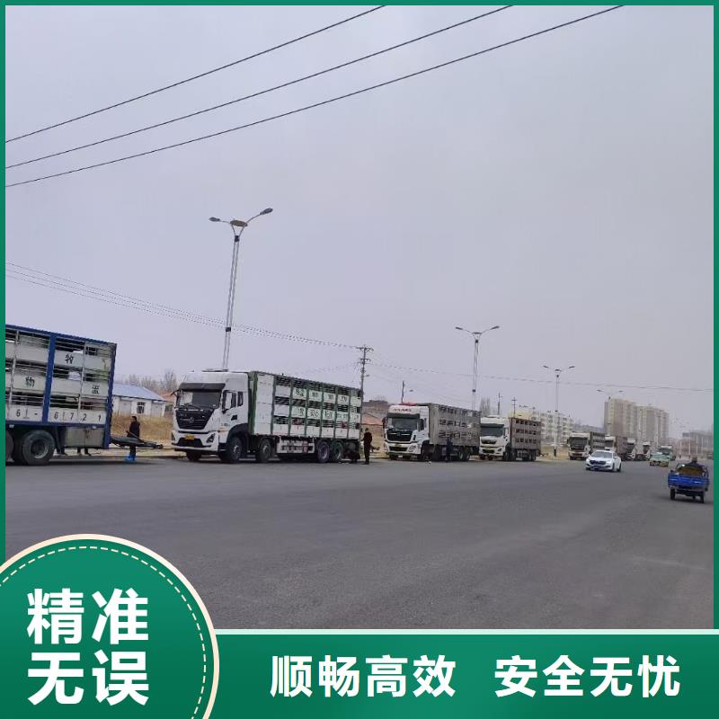 宿遷到農(nóng)牧物流老牌物流公司