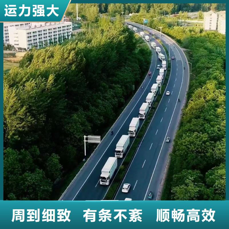 宿遷到種豬運(yùn)輸技術(shù)先進(jìn)
