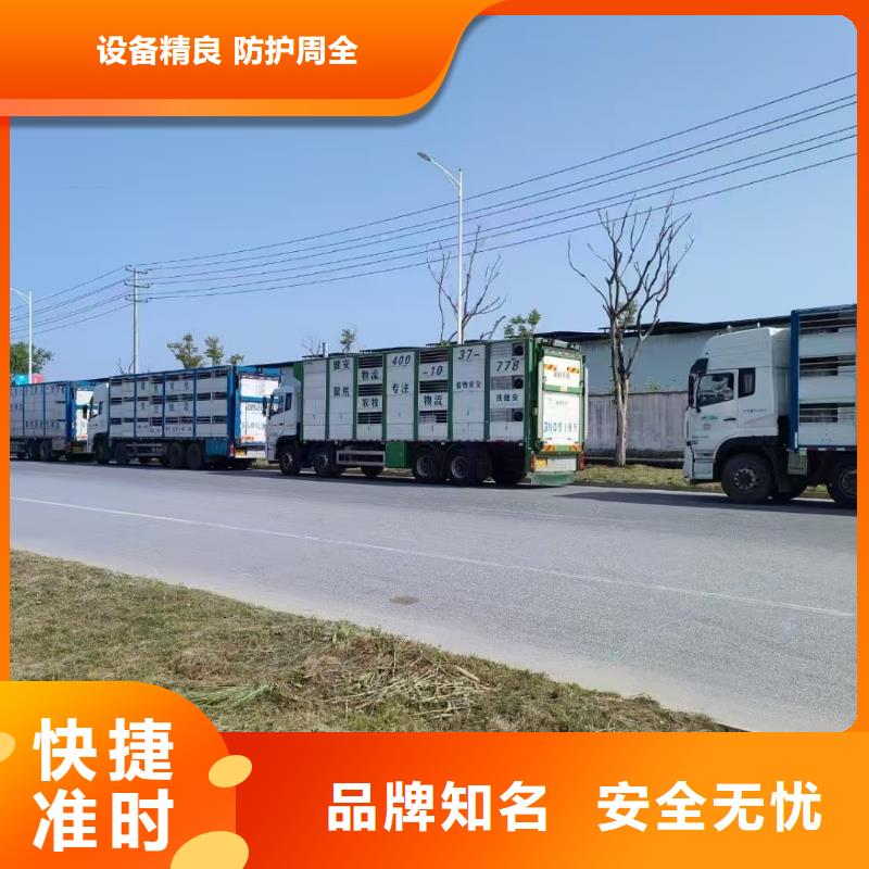 宿遷到羊運(yùn)輸專用車區(qū)縣可達(dá)