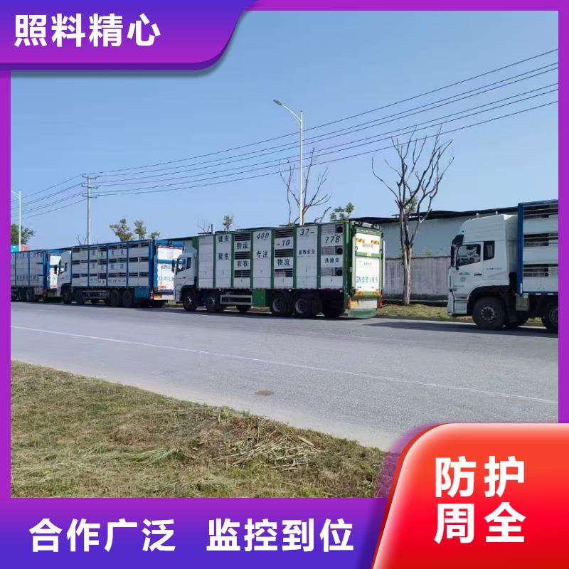 泗陽到散裝料專用車溫柔對(duì)待