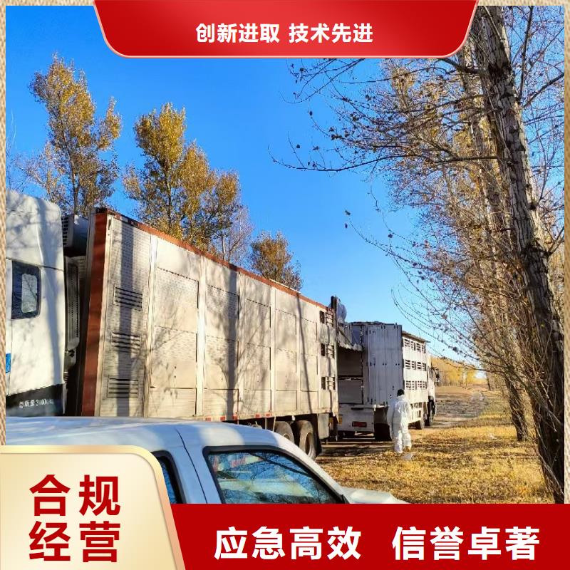 宿遷市泗洪到種豬空調(diào)車運輸細致入微