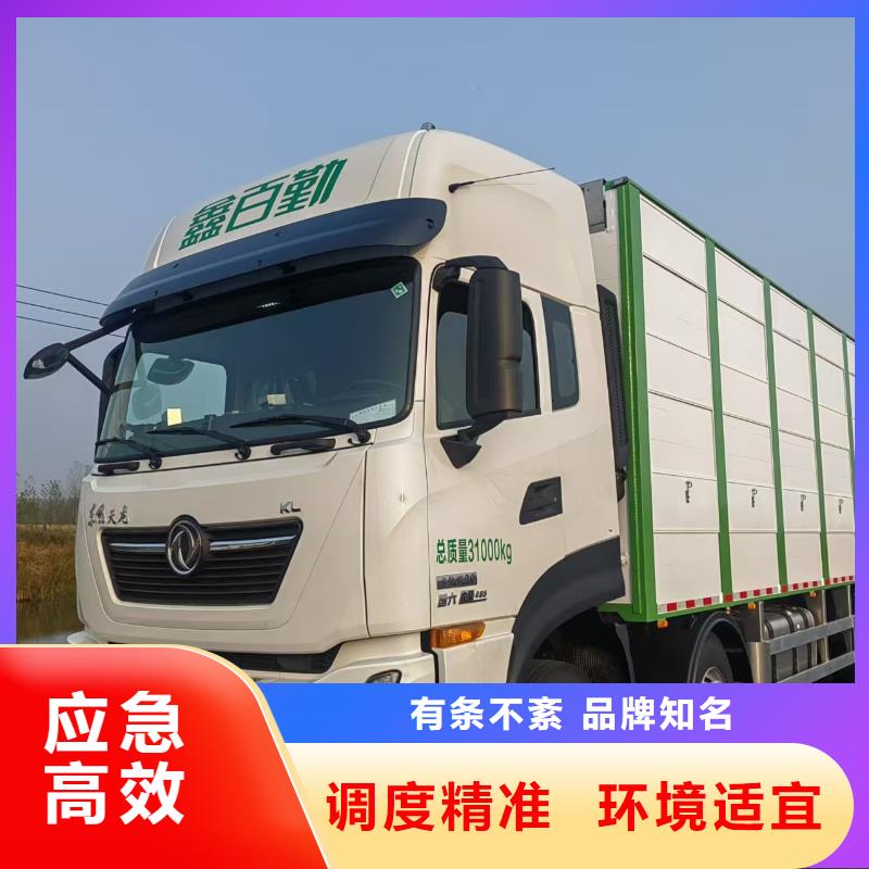 宿遷到種豬恒溫車運(yùn)輸設(shè)備精良