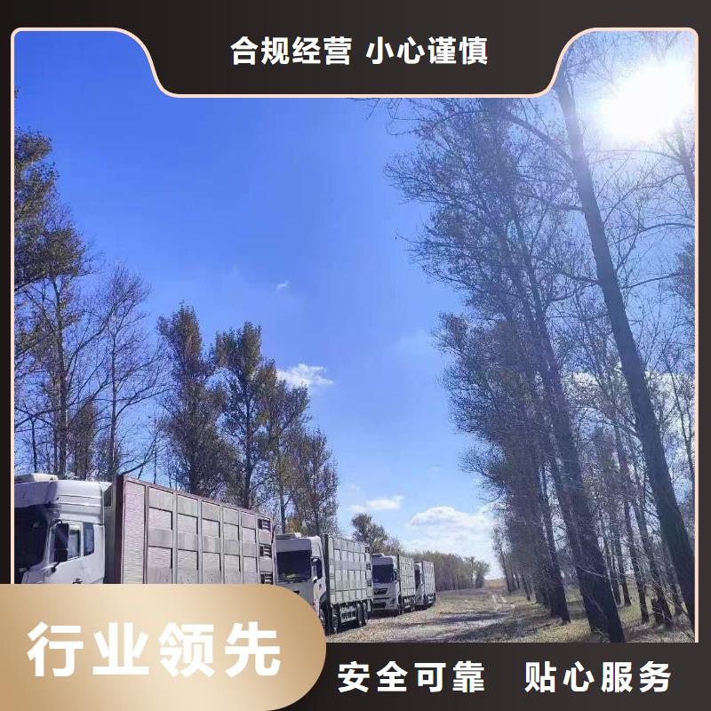 宿遷市沭陽到仔豬運輸及時送達