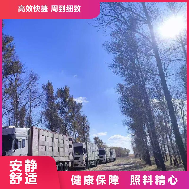 宿遷到活禽物流管理規(guī)范