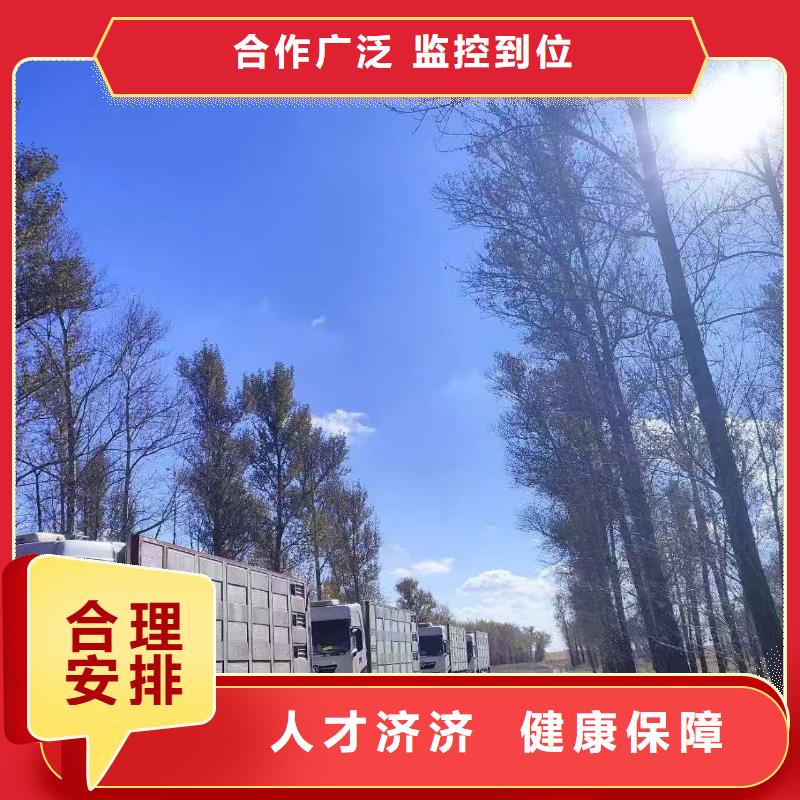 宿遷到種豬運(yùn)輸不倒車