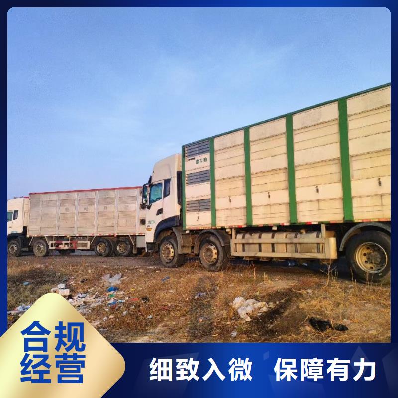 宿遷到羊運(yùn)輸專用車區(qū)縣可達(dá)