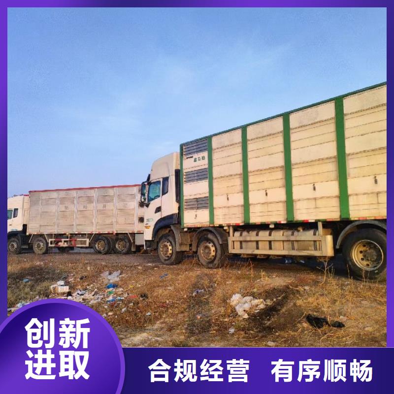 宿遷到種豬空調(diào)車運(yùn)輸經(jīng)驗(yàn)豐富