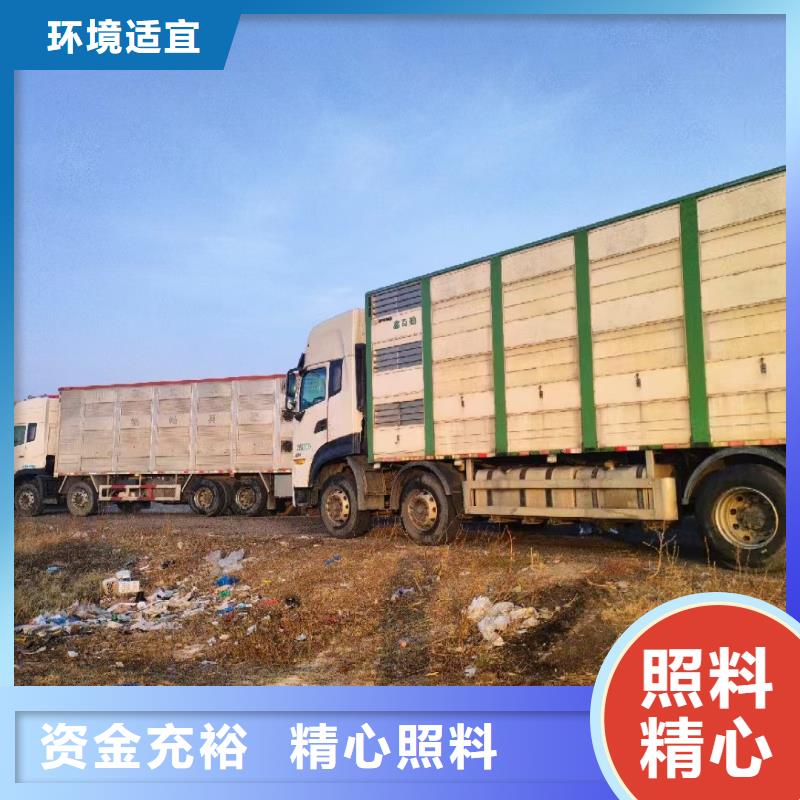 宿遷到種豬運(yùn)輸不倒車