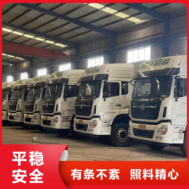 宿遷市泗洪到種豬空調(diào)車運輸細致入微