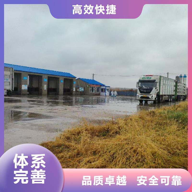 宿遷到種豬恒溫車運(yùn)輸設(shè)備精良