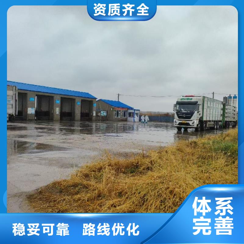宿遷到牛運(yùn)輸方便快捷