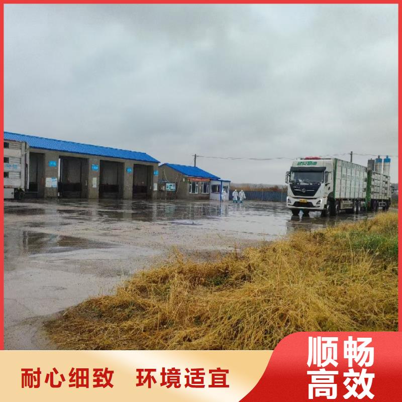 宿遷沭陽到畜禽運輸