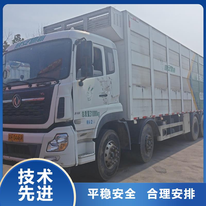 宿遷到生豬空調(diào)車運(yùn)輸便利快捷