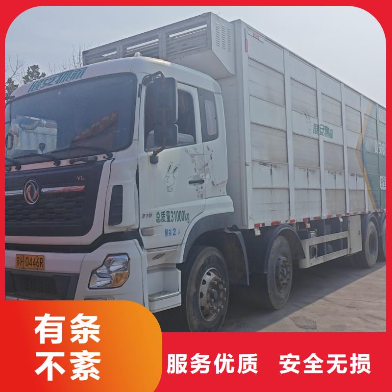 宿遷市沭陽到羊運(yùn)輸穩(wěn)妥可靠