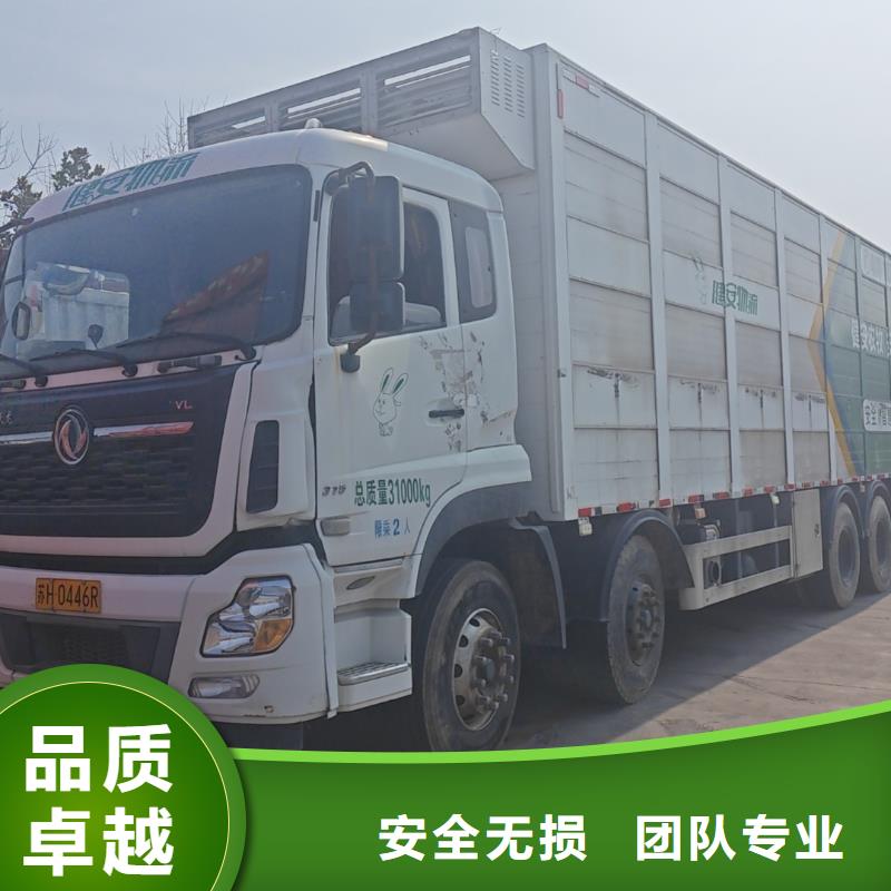 宿遷市到豬只貿(mào)易舒適自在