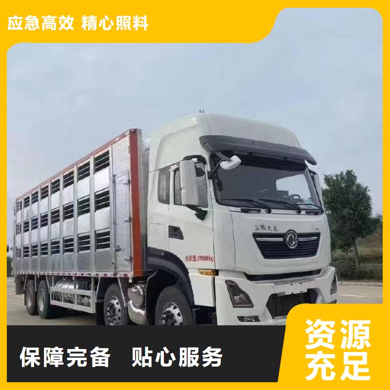 宿遷到豬籠車運輸及時送達