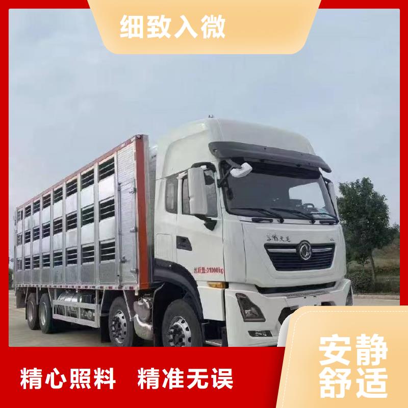 宿遷到種豬恒溫車運輸管理規(guī)范