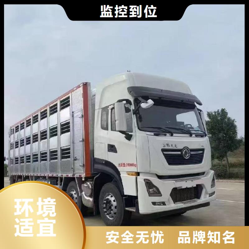 宿遷到仔豬恒溫車(chē)運(yùn)輸全程護(hù)航