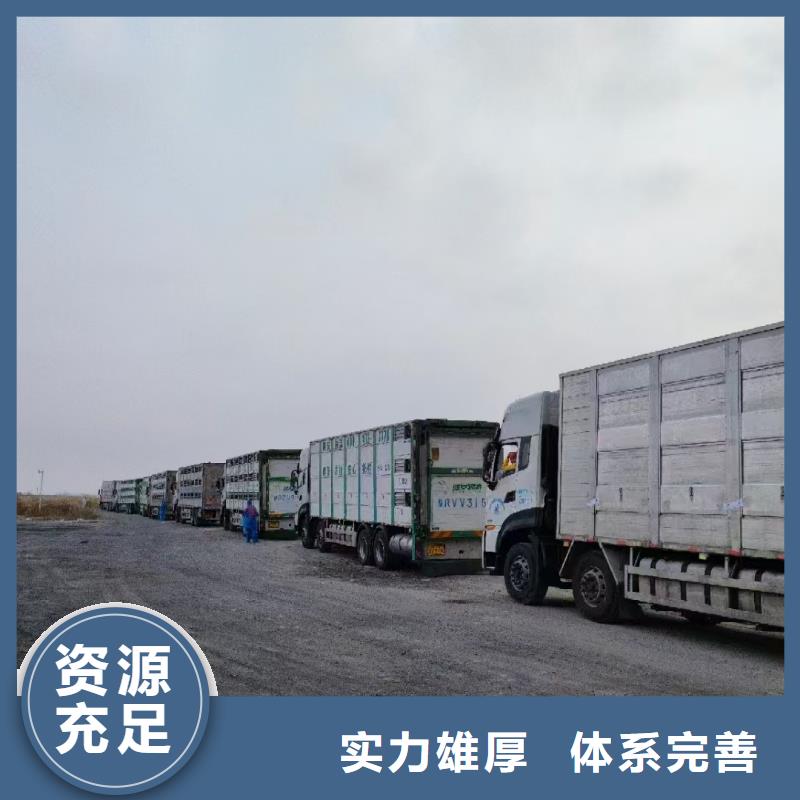 宿遷到種豬恒溫車運輸管理規(guī)范