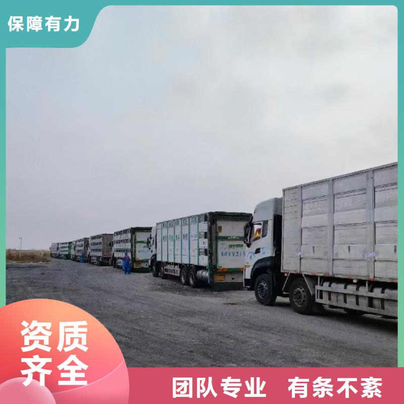 宿遷到種豬運(yùn)輸全程護(hù)航
