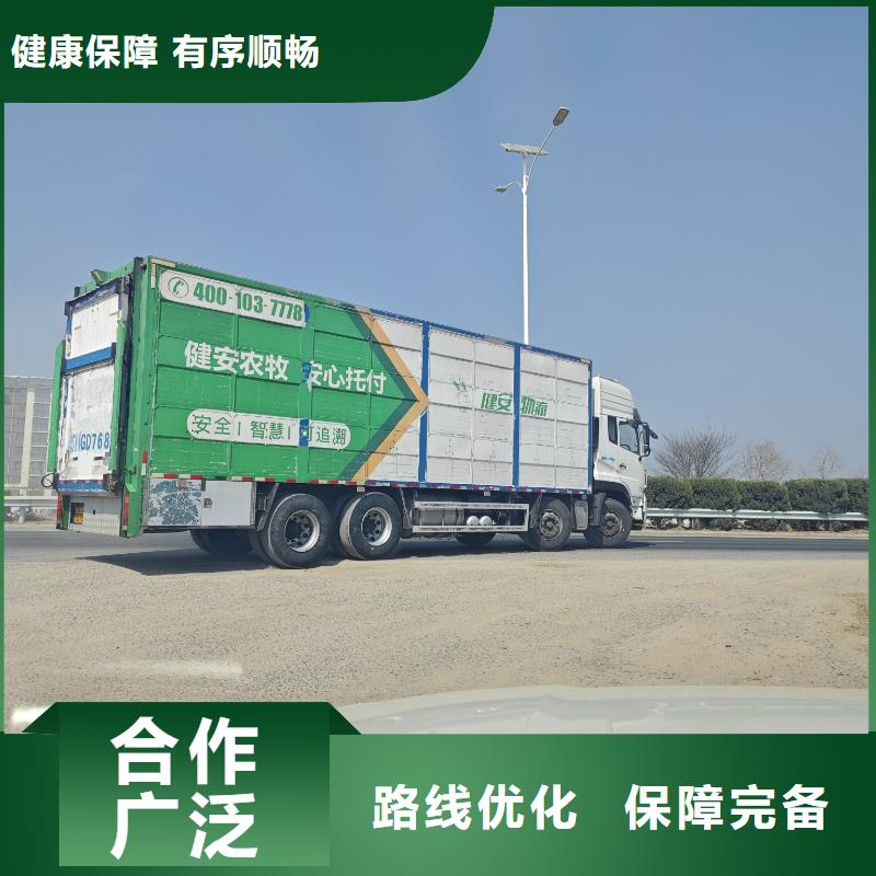 宿遷到豬籠車運輸及時送達