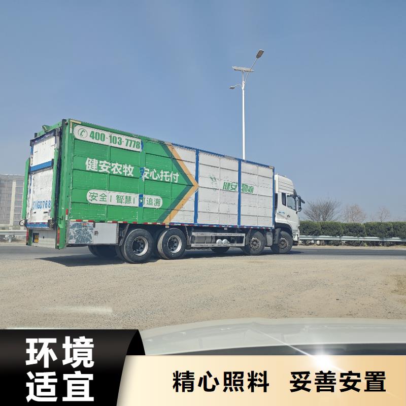 宿遷泗洪到豬籠車運(yùn)輸