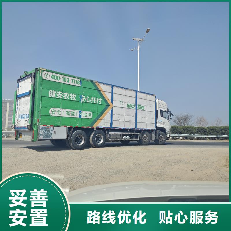 宿遷到仔豬空調(diào)車運(yùn)輸正規(guī)物流